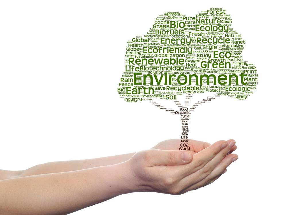 Ecology text word cloud, featuring 411 Business Law, highlighting Assisting with Environmental Litigation, and aligning with the page's context. 